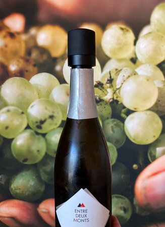 Flessenstopper bubbels