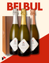 BelBul